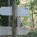 O461-ldp002-00-d3-170528-RZ-1158