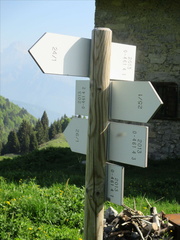 O461-ldp004-00-d4-170528-RZ-1163