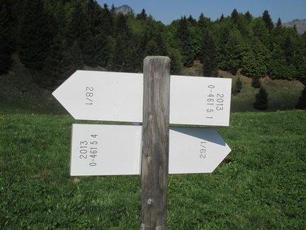 O461-ldp005-00-d2-170528-RZ-1167