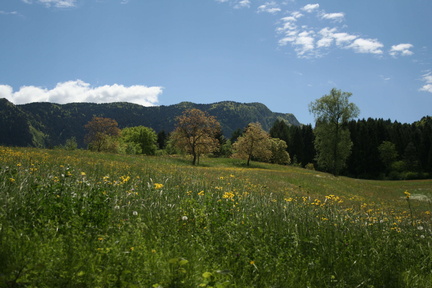 O461-003-Lomaso-Cornelle-Monte-Misone-100522-td-4638