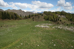 O461-016-prati-di-Cogorna-100522-td-4613