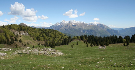 O461-018-da-Malga-Cogorna-100522-td-4611