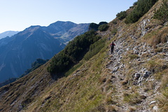 O461-040-171103-td-1650