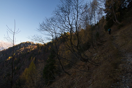 O462-171103-td-1610