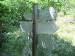 O462B-ldp001-00-d2-170528-RZ-1187