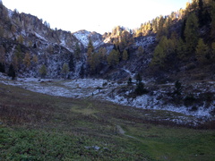 O463-171024-td-0708