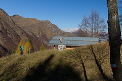 O464-ldp003-00-p2-171104-td-1711