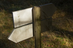 O465-ldp004-01-d2-171014-td-7513