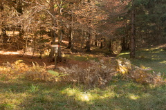 O465-ldp005-00-p2-171014-td-7499