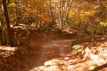 O465-ldp006-01-p1-171014-td-7473