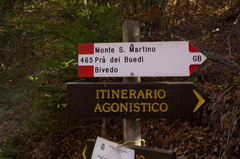 O465-ldp007-00-d2-171014-td-7464