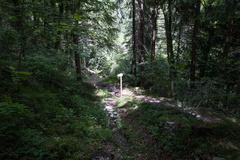 O465B-ldp001-10-p01-200620-td