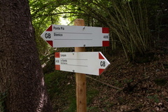 O465B-ldp001-20-d01-200620-td