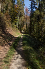 O465B-171014-td-7554