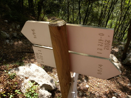 O472-ldp002-00-d02-180917-GP