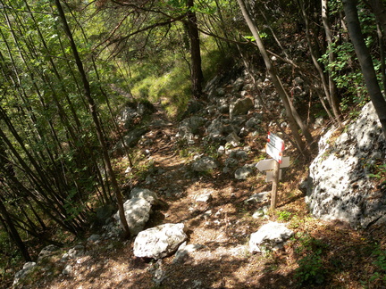 O472-ldp002-00-p02-180917-GP