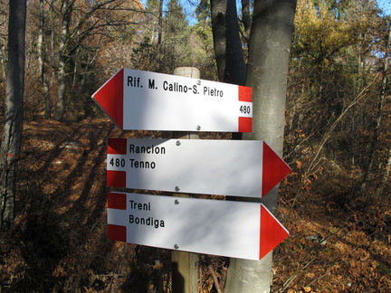 O480-ldp008-00-d0-111122-LB