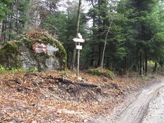 O500-ldp004-00-p1-141203-LB