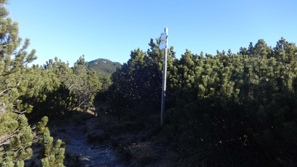 O500-ldp009-00-p01-161221-ED