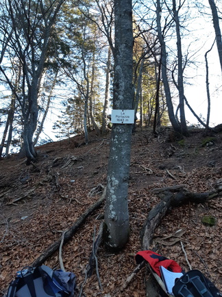 O500-ldp010-01-d01-181118-FM (15 visite) O500-ldp010-01-d01-181118-FM