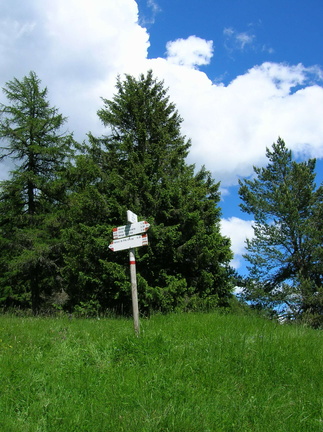 O500-ldp010-03-p1-080618-LB (8 visite) O500-ldp010-03-p1-080618-LB