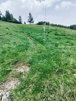 O500-ldp020-00-p01-250609-AM