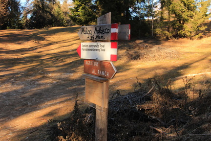 O500-ldp043-00-d3-161205-td