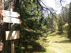 O500-ldp049-00-d2-170801