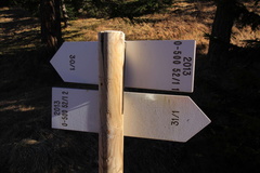 O500-ldp052-01-d3-161222-td-8286