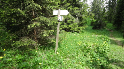 O500-ldp056-01-p03-170614-ED