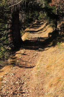 O500-170102-q1910-sopraBoccaValCalana-