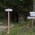 O501-ldp002-00-p01-170507.jpg