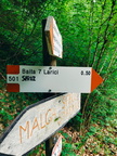 O501-ldp003-00-d02-250607-AM