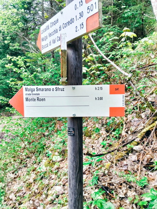 O501-ldp004-00-d01-250607-AM (63 visite) O501-ldp004-00-d01-250607-AM