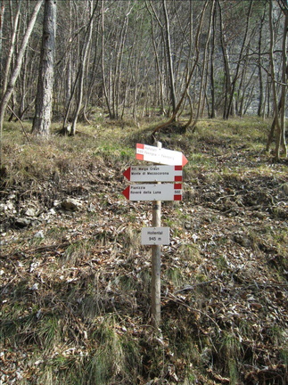 O502-ldp005-00-d1-170326-MZ (3 visite) O502-ldp005-00-d1-170326-MZ