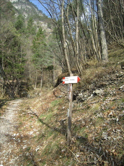 O502-ldp005-00-p1-170326-MZ