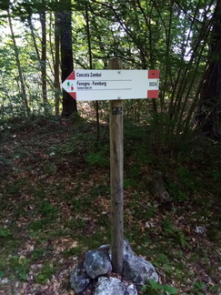 O502A-ldp001-00-d01-210818-CE