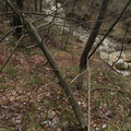 O502A-110326-td-899