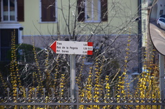 O503-ldp001-00-p02-160328-CE