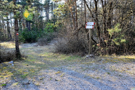 O503-ldp004-00-p01-160328-CE