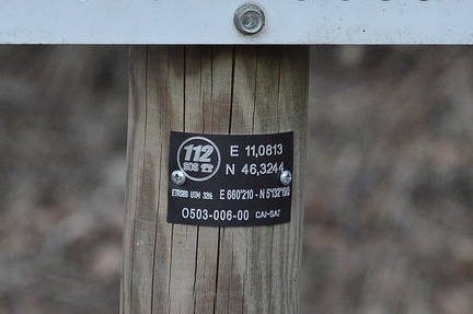 O503-ldp006-00-d04-161228.jpg