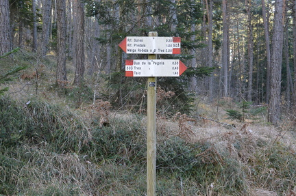 O503-ldp015-00-d02-161228.jpg