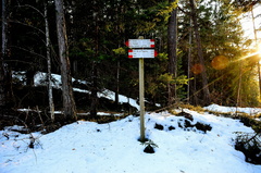 O503-ldp016-00-p02-160328-CE