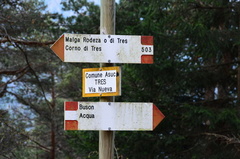 O503-ldp023-00-d01-160429-CE