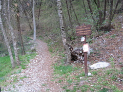 O505-ldp001-00-p1-170326-MZ