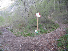 O505-ldp002-00-p1-170326-MZ