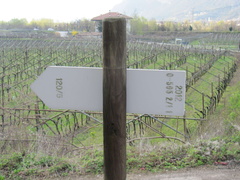 O505-ldp002-01-d2-170326-MZ