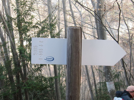 O505-ldp003-00-d2-170326-MZ