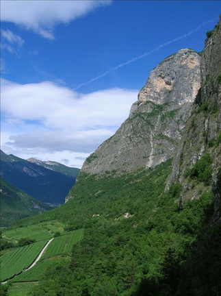 O505-090624-LB-0582 (63 visite) O505-090624-LB-0582