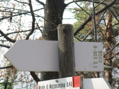 O506-ldp003-00-d3-170326-MZ